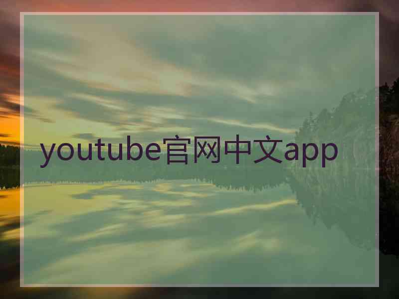 youtube官网中文app