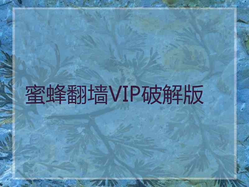 蜜蜂翻墙VIP破解版