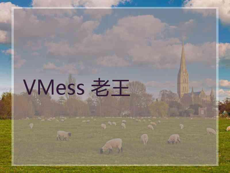 VMess 老王