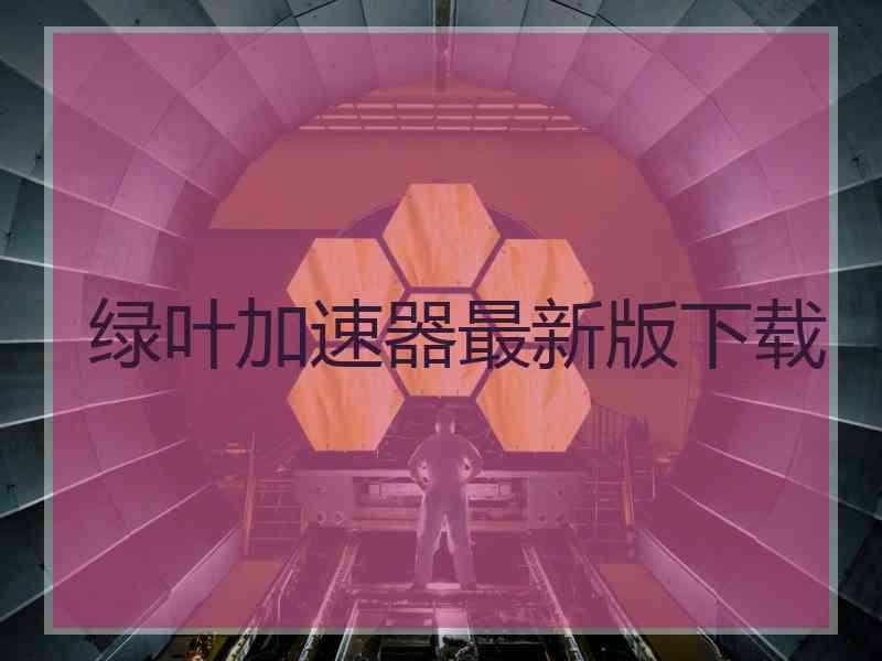 绿叶加速器最新版下载