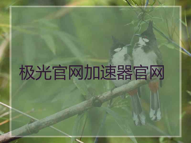 极光官网加速器官网