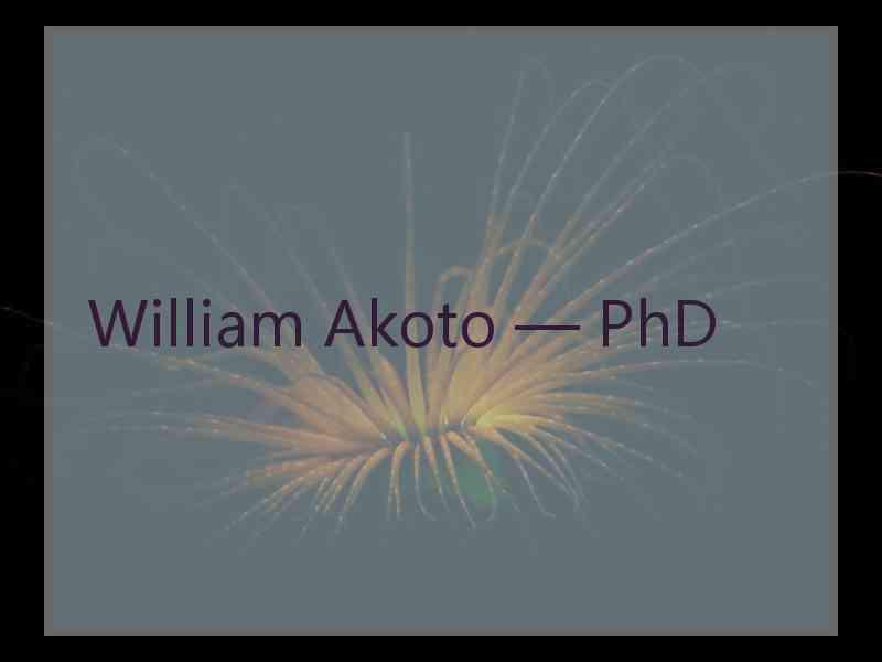 William Akoto — PhD