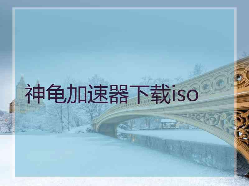 神龟加速器下载iso