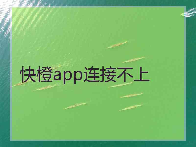 快橙app连接不上