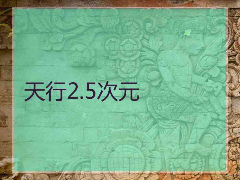 天行2.5次元