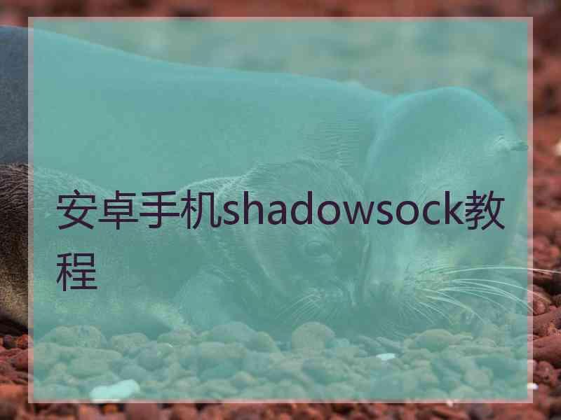 安卓手机shadowsock教程