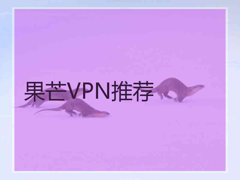 果芒VPN推荐