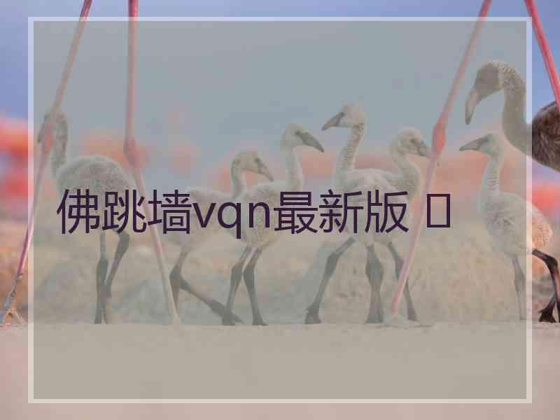 佛跳墙vqn最新版 	