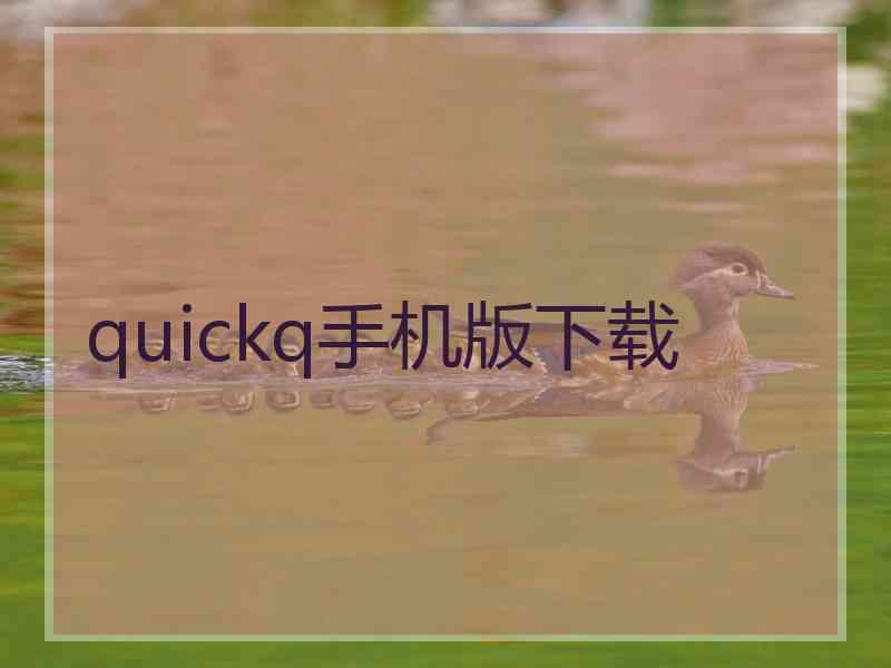 quickq手机版下载