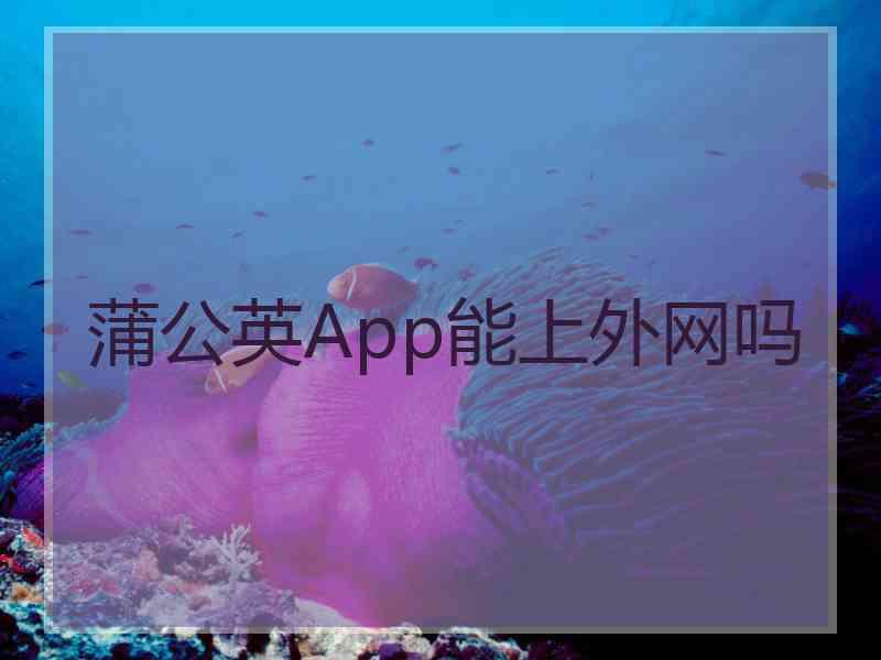 蒲公英App能上外网吗