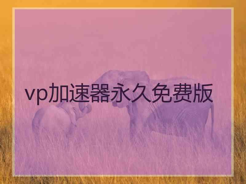 vp加速器永久免费版