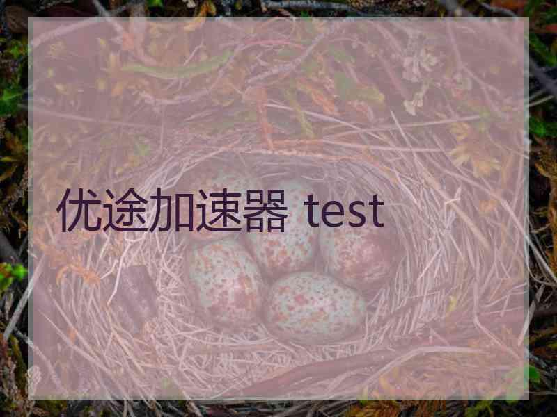 优途加速器 test