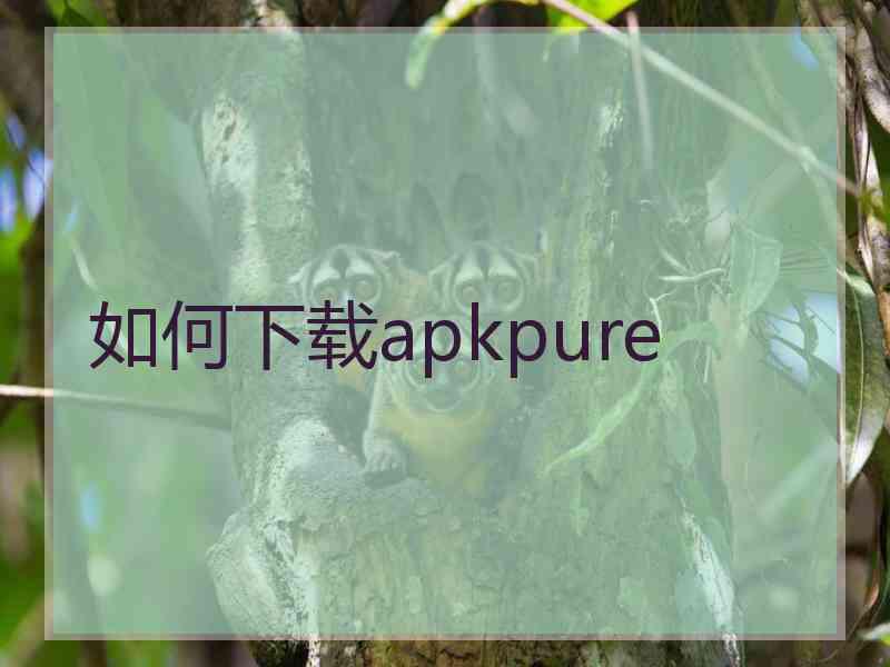 如何下载apkpure