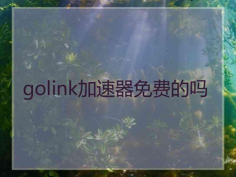 golink加速器免费的吗