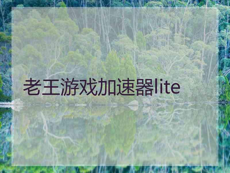 老王游戏加速器lite