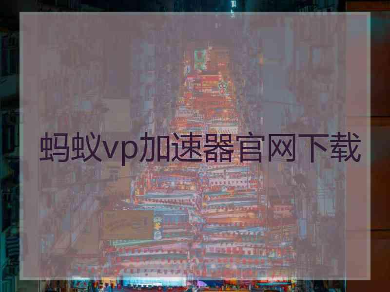 蚂蚁vp加速器官网下载