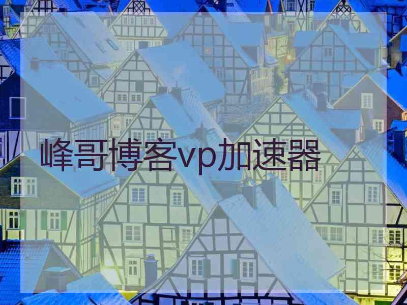 峰哥博客vp加速器