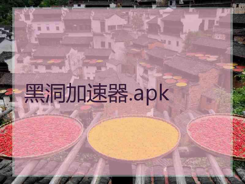 黑洞加速器.apk