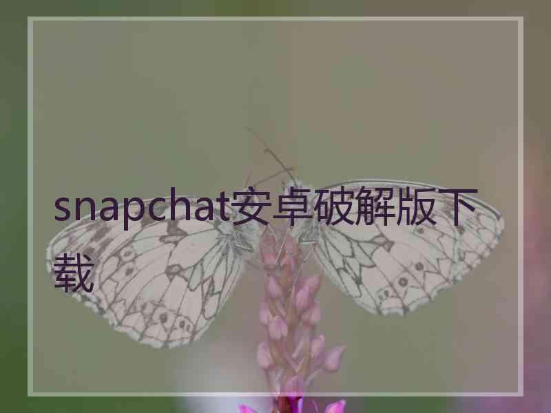 snapchat安卓破解版下载