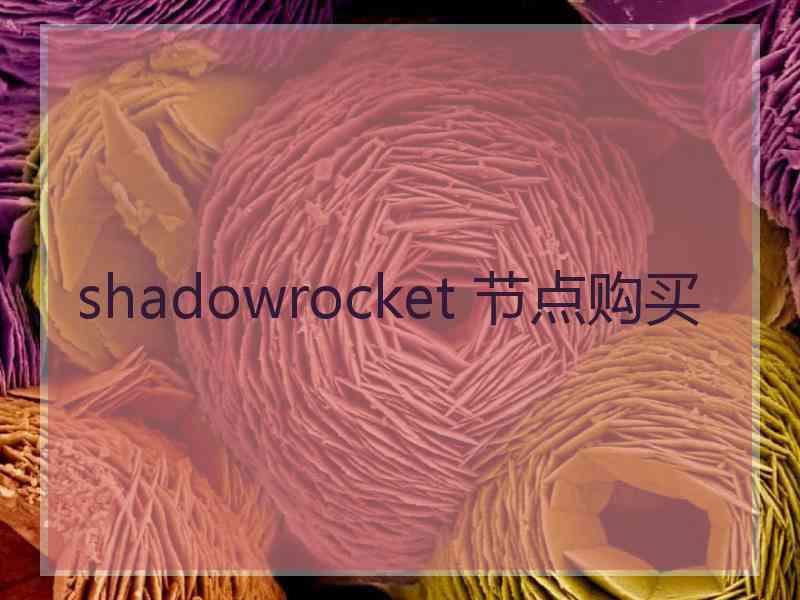 shadowrocket 节点购买