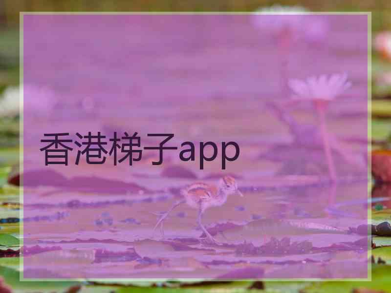 香港梯子app