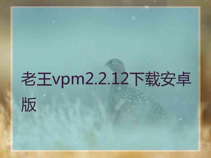 老王vpm2.2.12下载安卓版