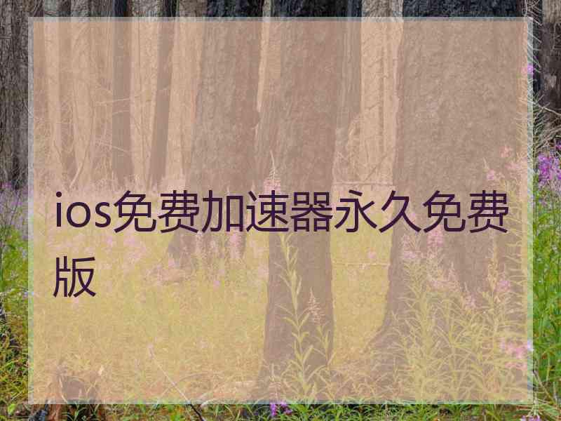 ios免费加速器永久免费版