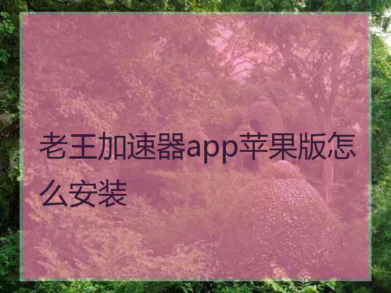 老王加速器app苹果版怎么安装