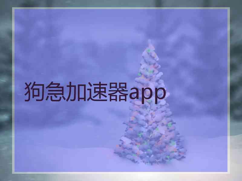 狗急加速器app