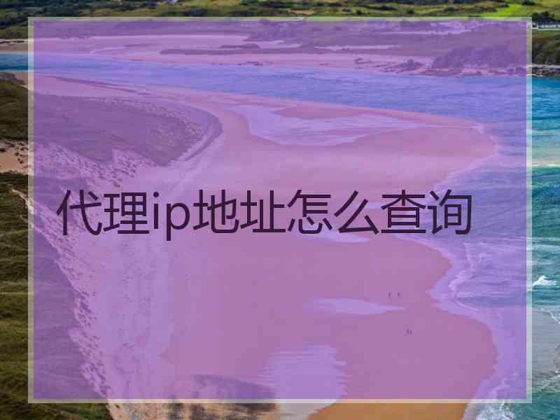 代理ip地址怎么查询