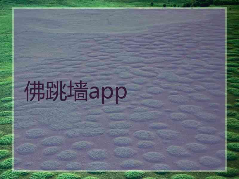 佛跳墙app