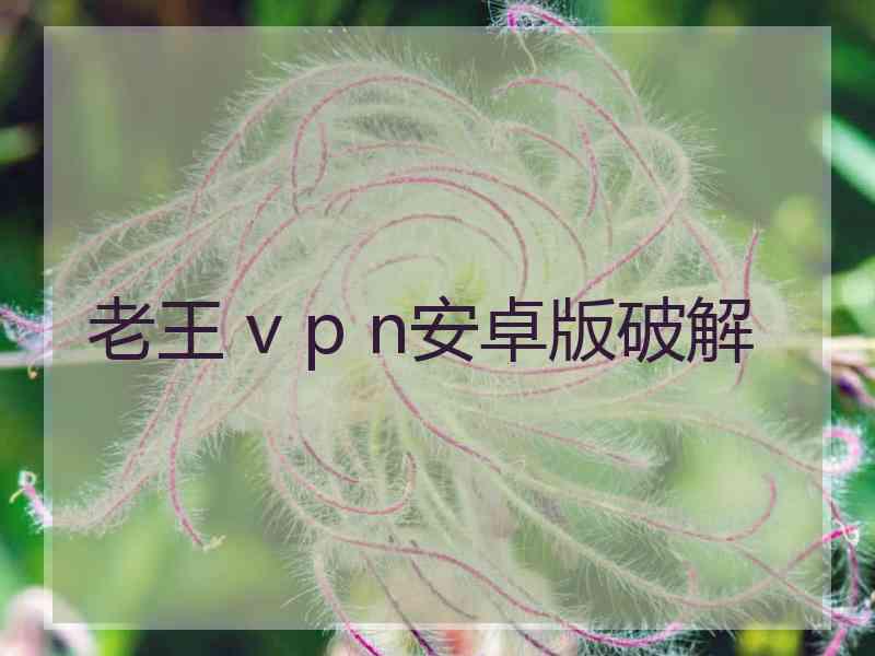 老王 v p n安卓版破解