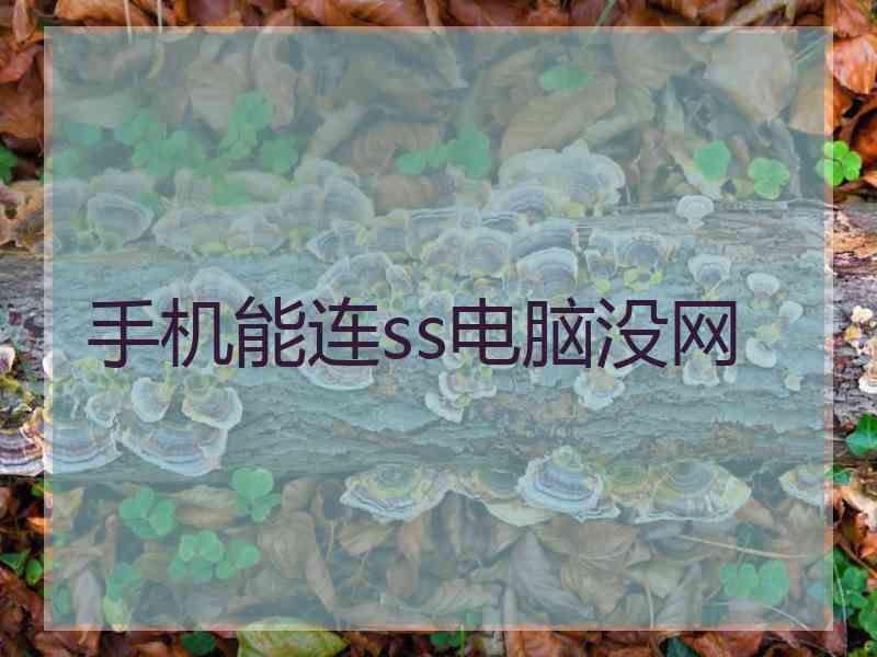 手机能连ss电脑没网