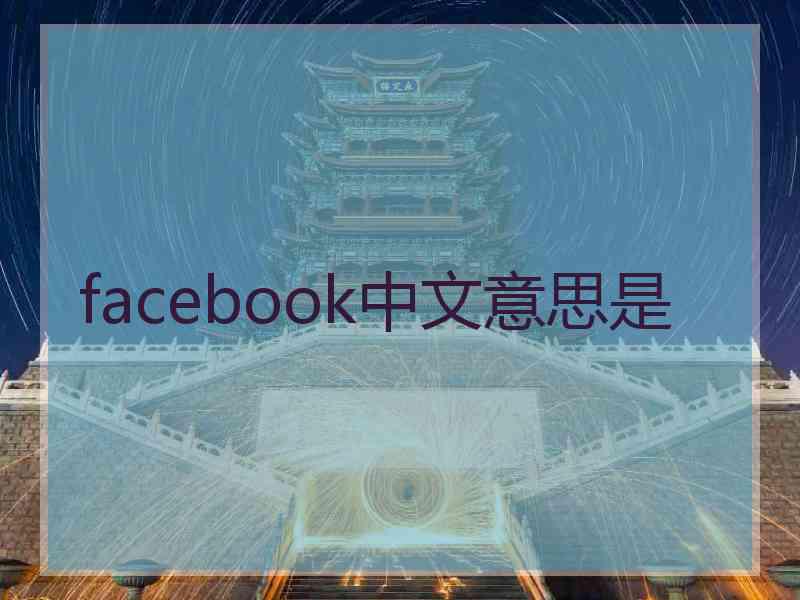 facebook中文意思是