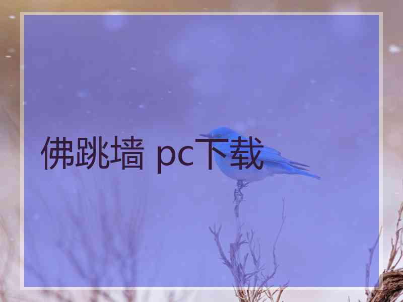 佛跳墙 pc下载