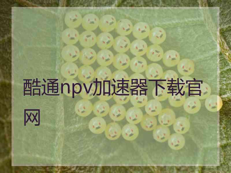 酷通npv加速器下载官网