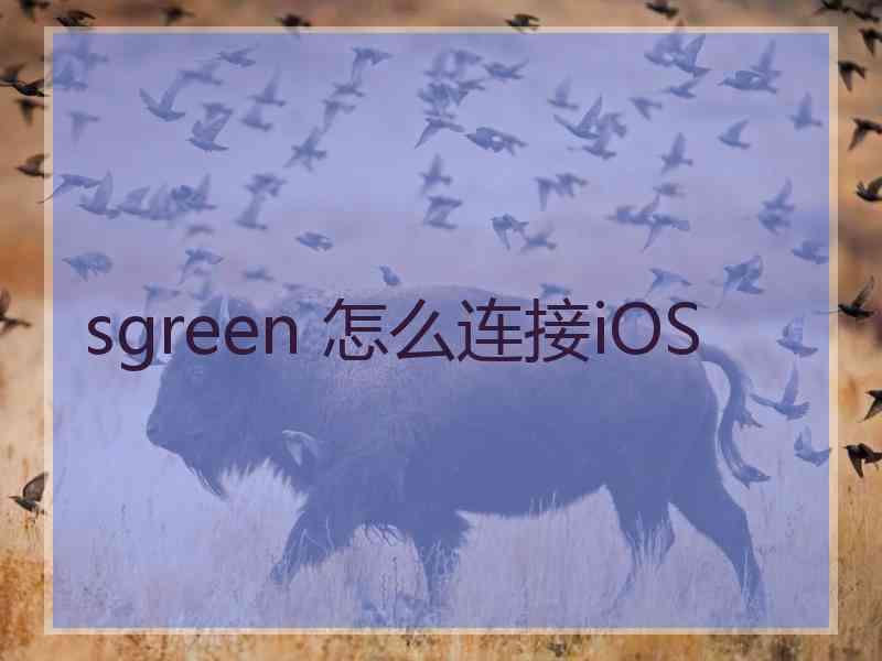 sgreen 怎么连接iOS