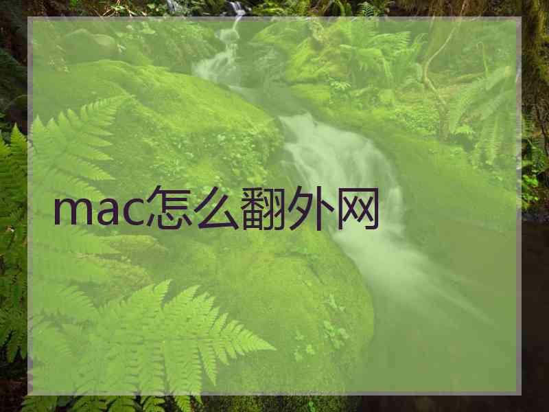 mac怎么翻外网