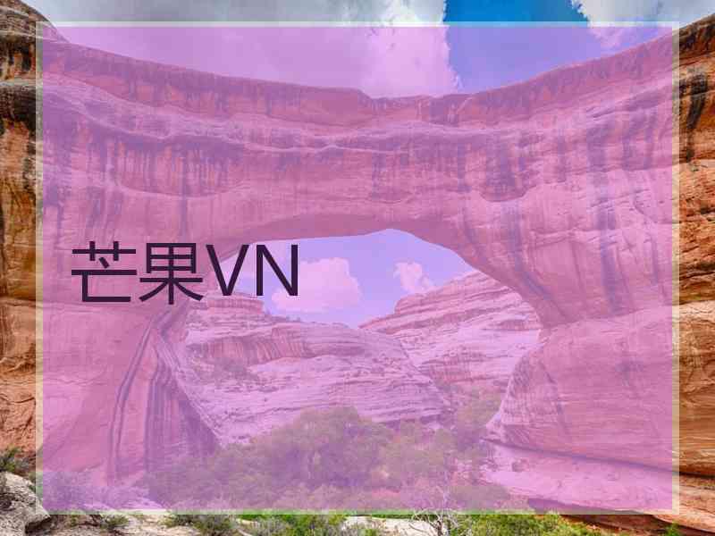 芒果VN