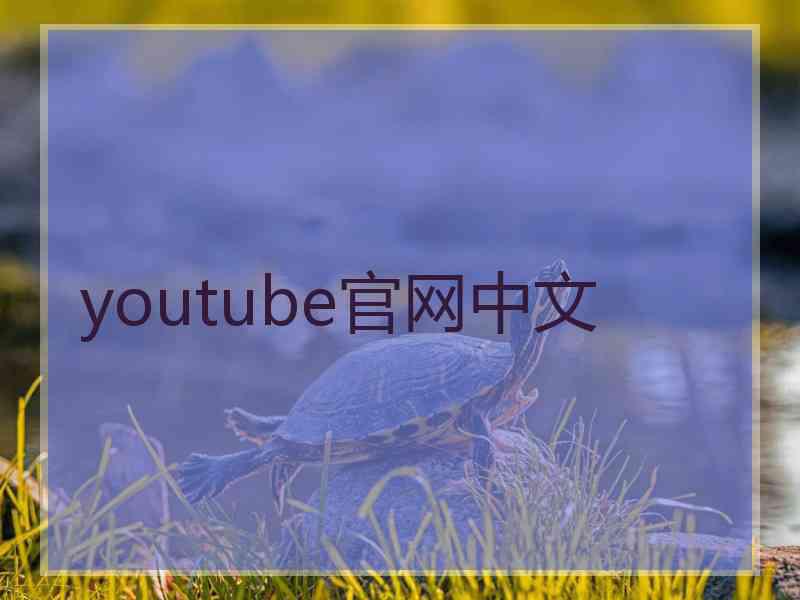 youtube官网中文