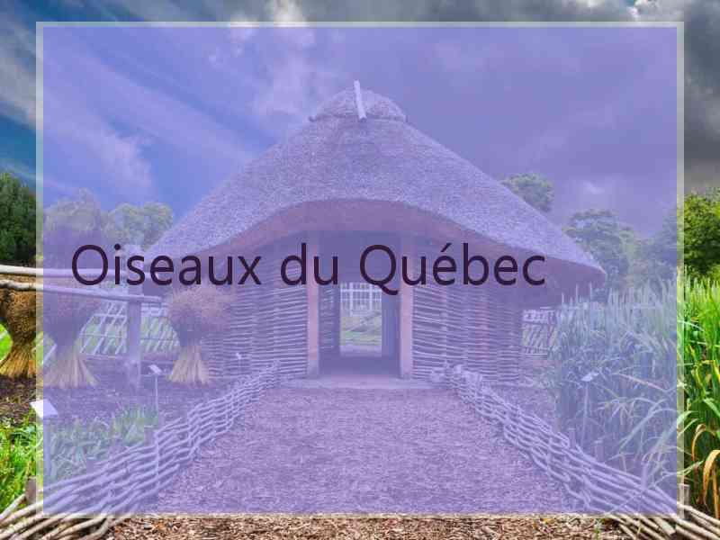 Oiseaux du Québec