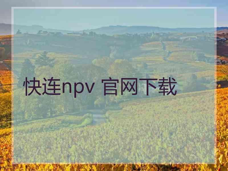 快连npv 官网下载