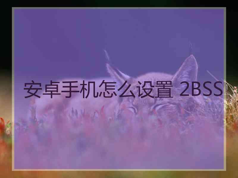 安卓手机怎么设置 2BSS