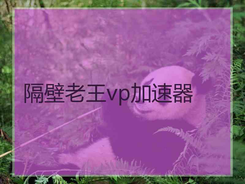 隔壁老王vp加速器