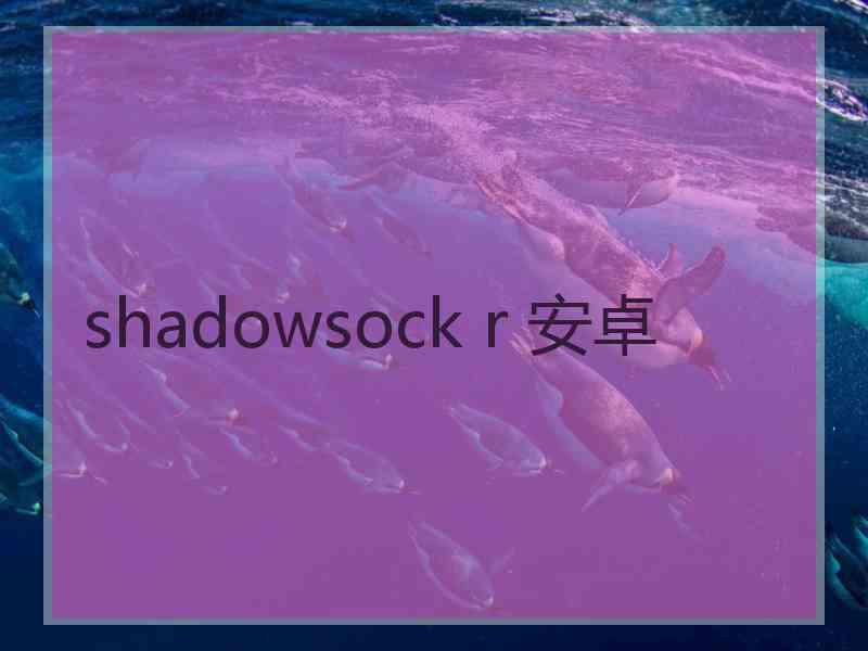 shadowsock r 安卓