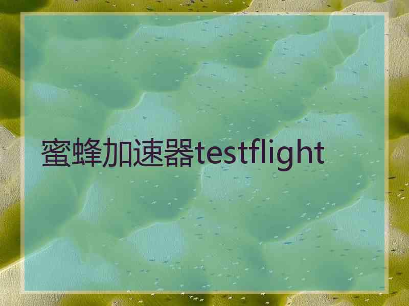 蜜蜂加速器testflight