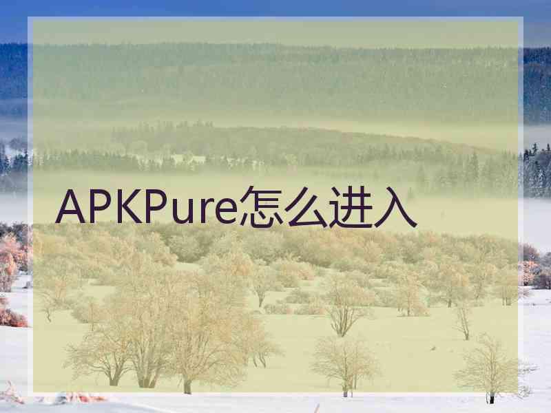 APKPure怎么进入