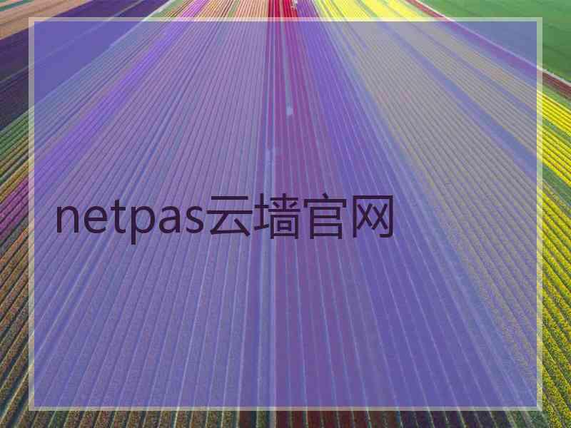 netpas云墙官网