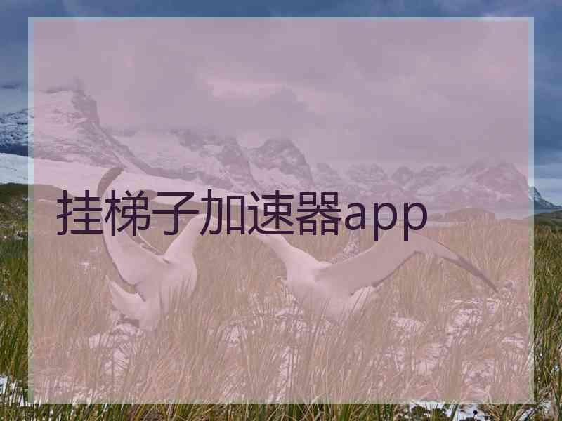 挂梯子加速器app