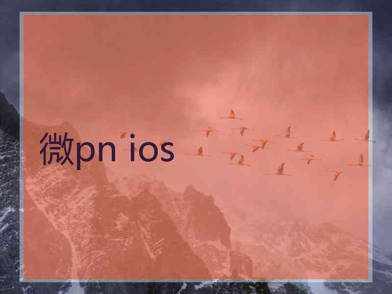 微pn ios